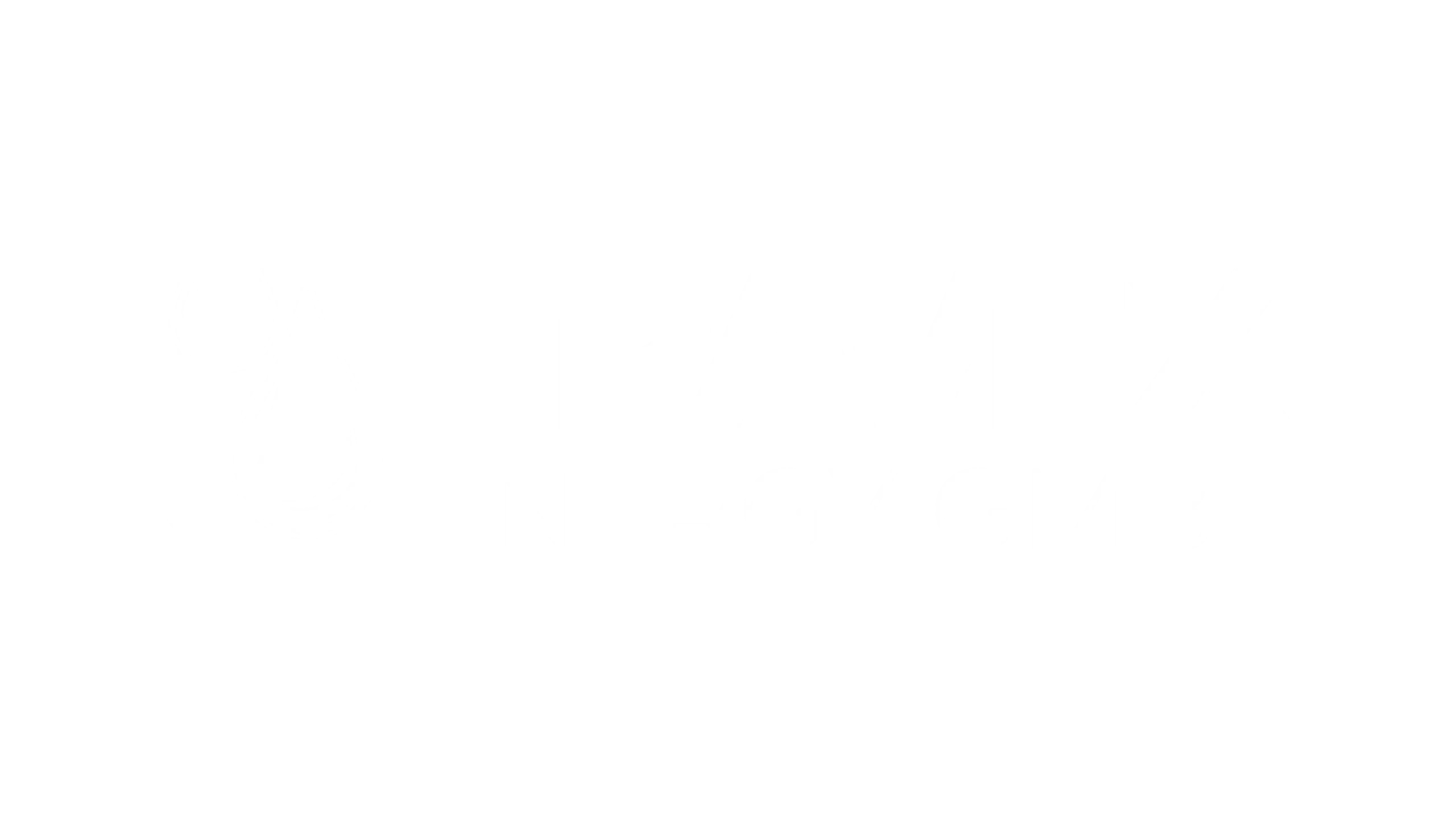 2026_TRAVEX-ENERGY_LOGO_WEBSITE